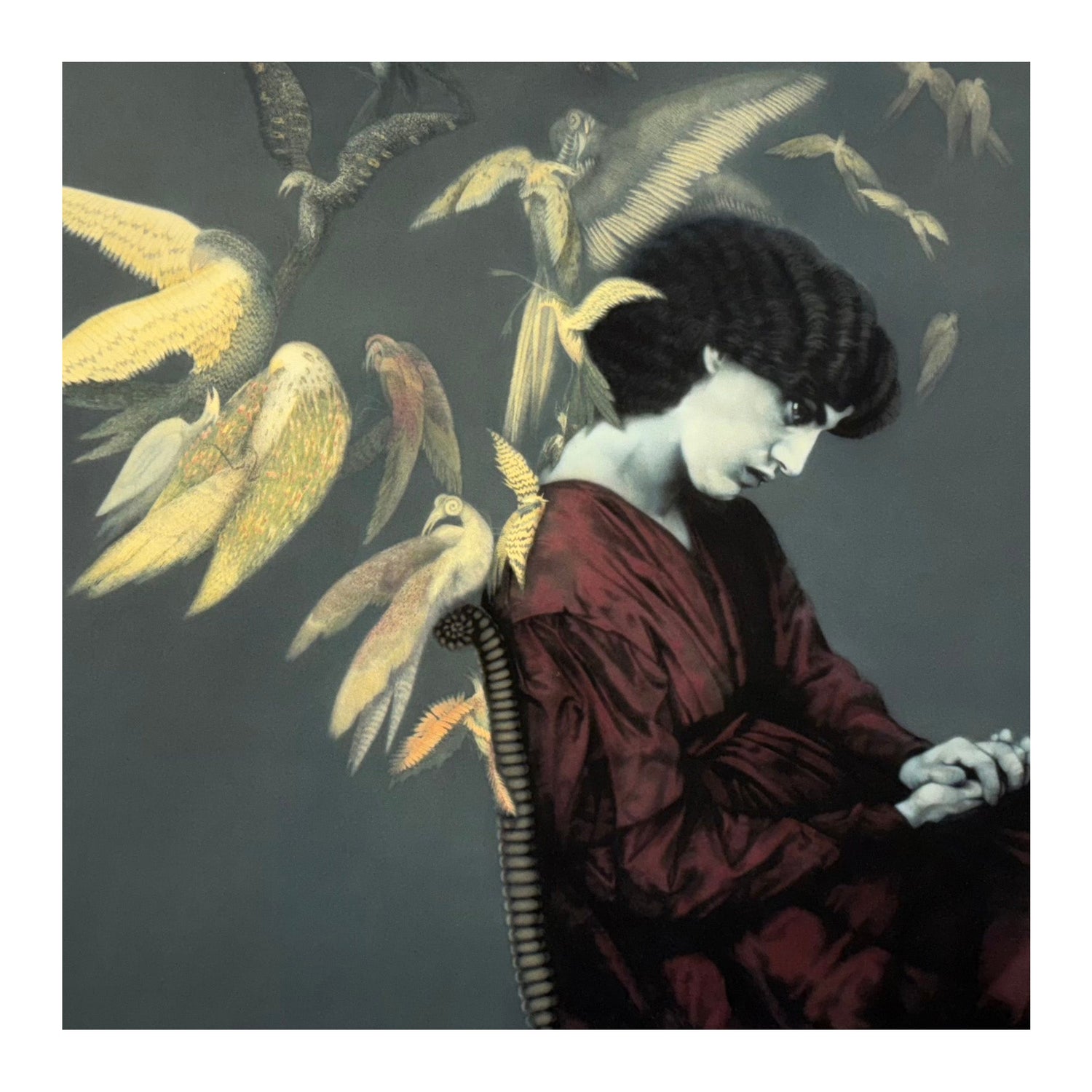 Jo Ellen Van Ouwerkerk